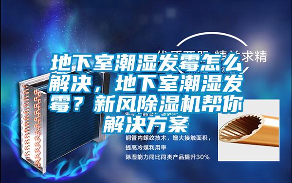 地下室潮濕發(fā)霉怎么解決，地下室潮濕發(fā)霉？新風(fēng)除濕機(jī)幫你解決方案