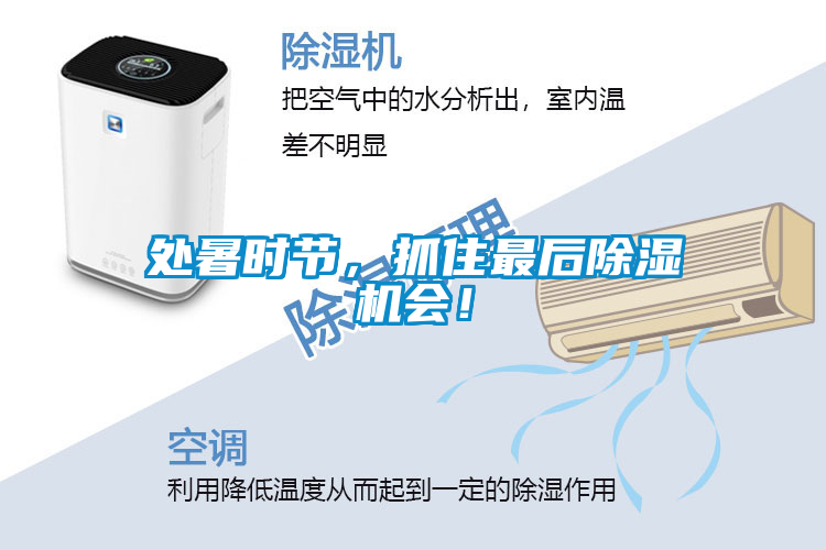 處暑時節(jié)，抓住最后除濕機會！