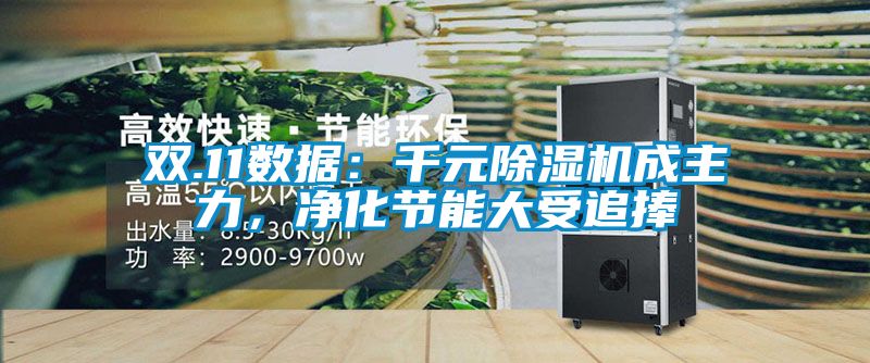 雙.11數(shù)據(jù)：千元除濕機(jī)成主力，凈化節(jié)能大受追捧