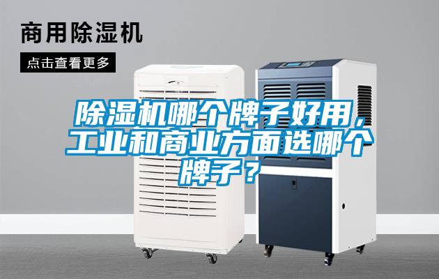 除濕機(jī)哪個(gè)牌子好用，工業(yè)和商業(yè)方面選哪個(gè)牌子？