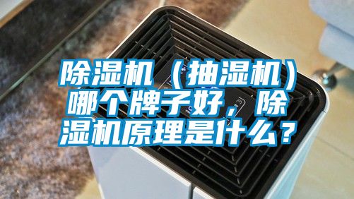 除濕機(jī)（抽濕機(jī)）哪個牌子好，除濕機(jī)原理是什么？