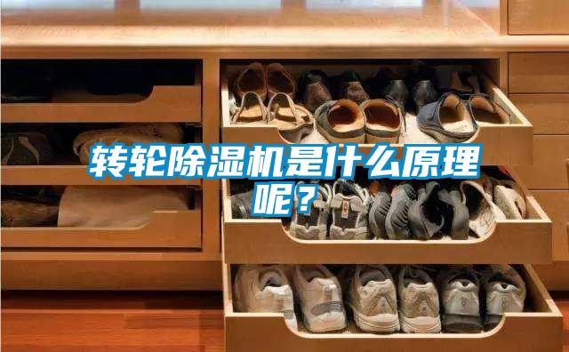 轉輪除濕機是什么原理呢？