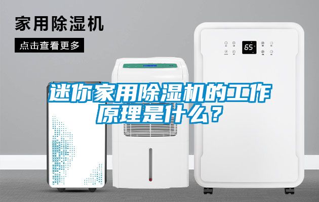 迷你家用除濕機(jī)的工作原理是什么？