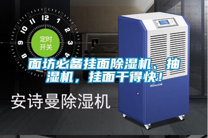 面坊必備掛面除濕機(jī)、抽濕機(jī)，掛面干得快！