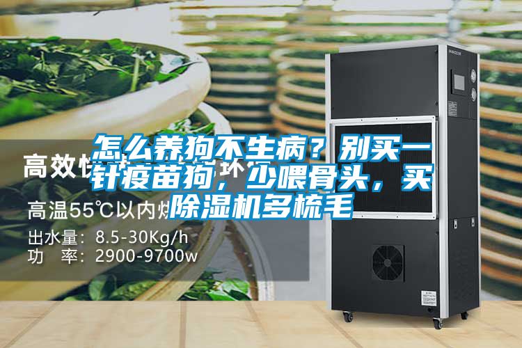 怎么養(yǎng)狗不生?。縿e買一針疫苗狗，少喂骨頭，買除濕機多梳毛
