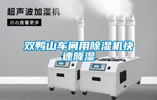 雙鴨山車(chē)間用除濕機(jī)快速降濕