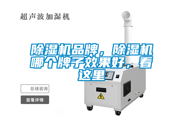 除濕機品牌，除濕機哪個牌子效果好，看這里