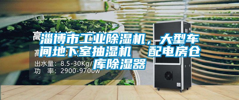 淄博市工業(yè)除濕機(jī)，大型車間地下室抽濕機(jī)  配電房倉庫除濕器