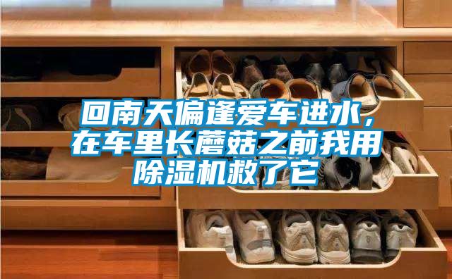 回南天偏逢愛車進水，在車里長蘑菇之前我用除濕機救了它