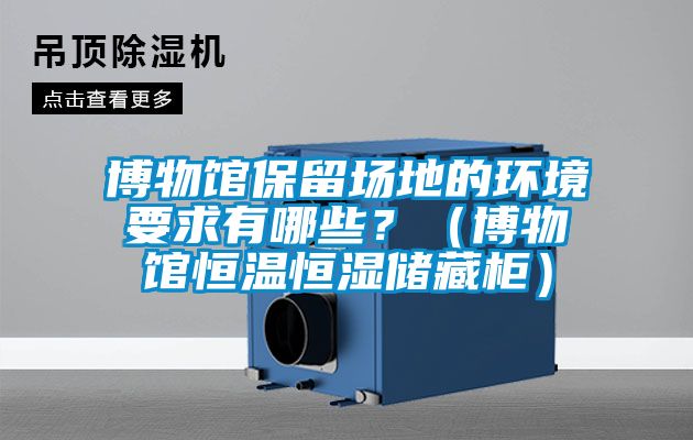 博物館保留場(chǎng)地的環(huán)境要求有哪些？（博物館恒溫恒濕儲(chǔ)藏柜）