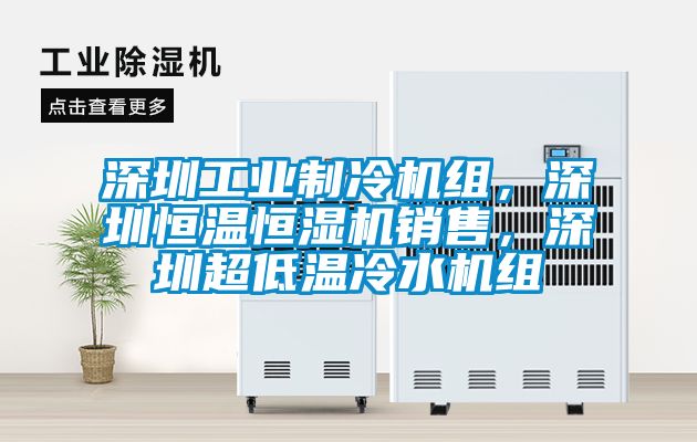 深圳工業(yè)制冷機(jī)組，深圳恒溫恒濕機(jī)銷售，深圳超低溫冷水機(jī)組