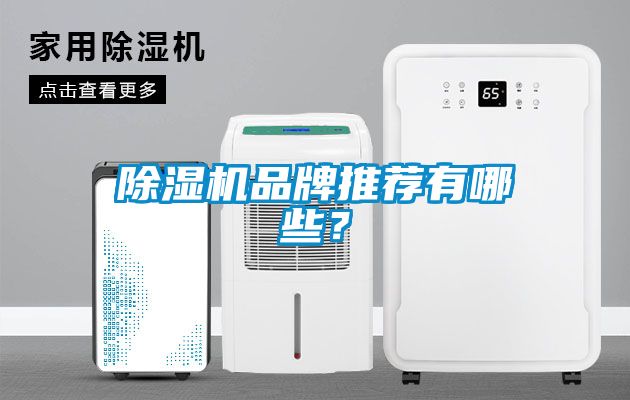 除濕機品牌推薦有哪些？