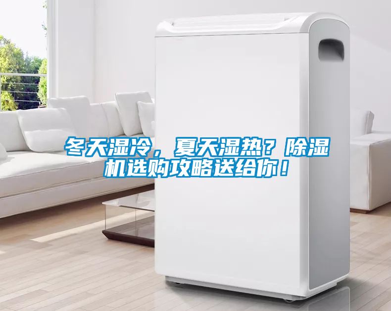 冬天濕冷，夏天濕熱？除濕機選購攻略送給你！