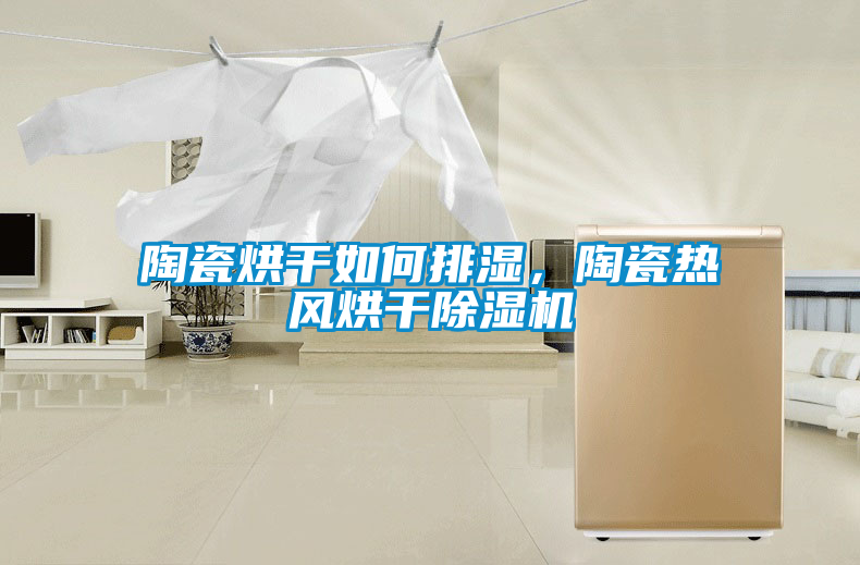 陶瓷烘干如何排濕，陶瓷熱風(fēng)烘干除濕機(jī)