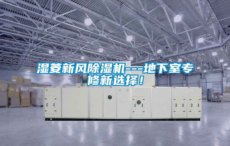 濕菱新風(fēng)除濕機(jī)---地下室專修新選擇！