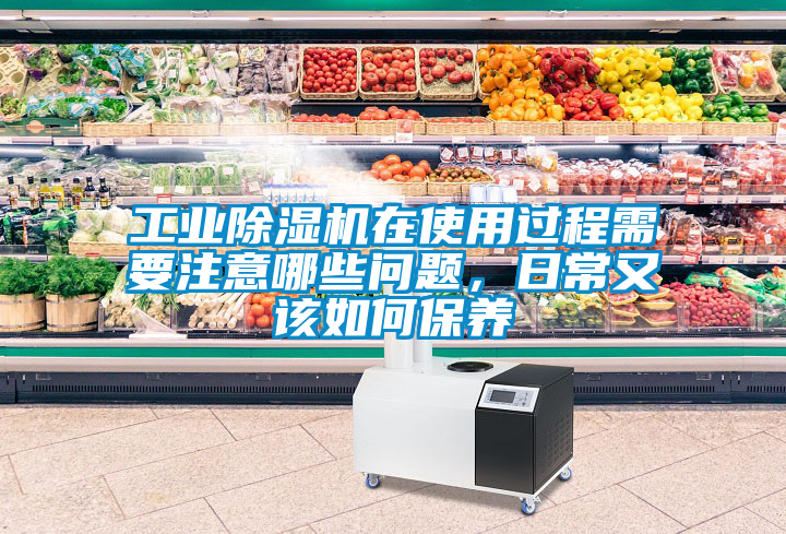 工業(yè)除濕機(jī)在使用過(guò)程需要注意哪些問(wèn)題，日常又該如何保養(yǎng)