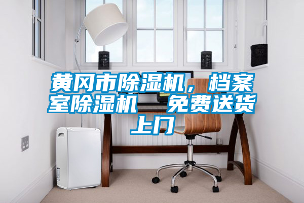 黃岡市除濕機(jī)，檔案室除濕機(jī)  免費(fèi)送貨上門