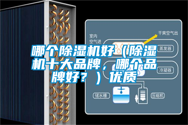 哪個除濕機好（除濕機十大品牌，哪個品牌好？）優(yōu)質