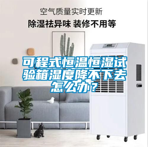 可程式恒溫恒濕試驗(yàn)箱濕度降不下去怎么辦？