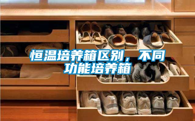 恒溫培養(yǎng)箱區(qū)別，不同功能培養(yǎng)箱