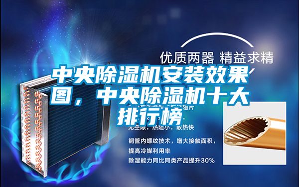 中央除濕機(jī)安裝效果圖，中央除濕機(jī)十大排行榜