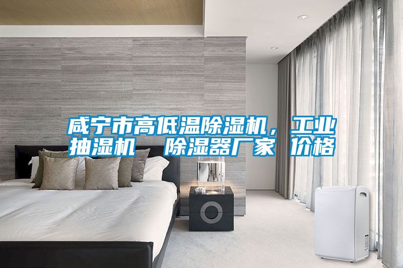 咸寧市高低溫除濕機(jī)，工業(yè)抽濕機(jī)  除濕器廠家 價格