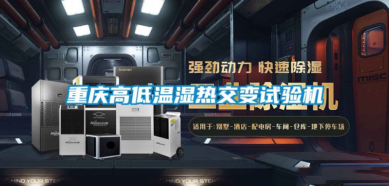 重慶高低溫濕熱交變試驗(yàn)機(jī)