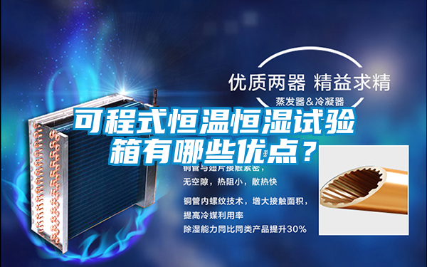 可程式恒溫恒濕試驗箱有哪些優(yōu)點(diǎn)？