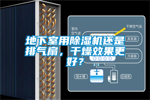 地下室用除濕機(jī)還是排氣扇，干燥效果更好？