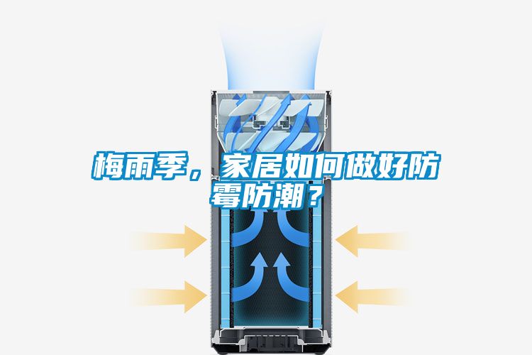 梅雨季，家居如何做好防霉防潮？