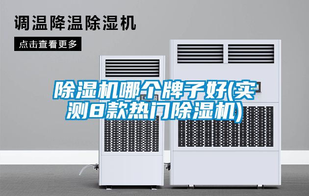 除濕機(jī)哪個牌子好(實測8款熱門除濕機(jī))
