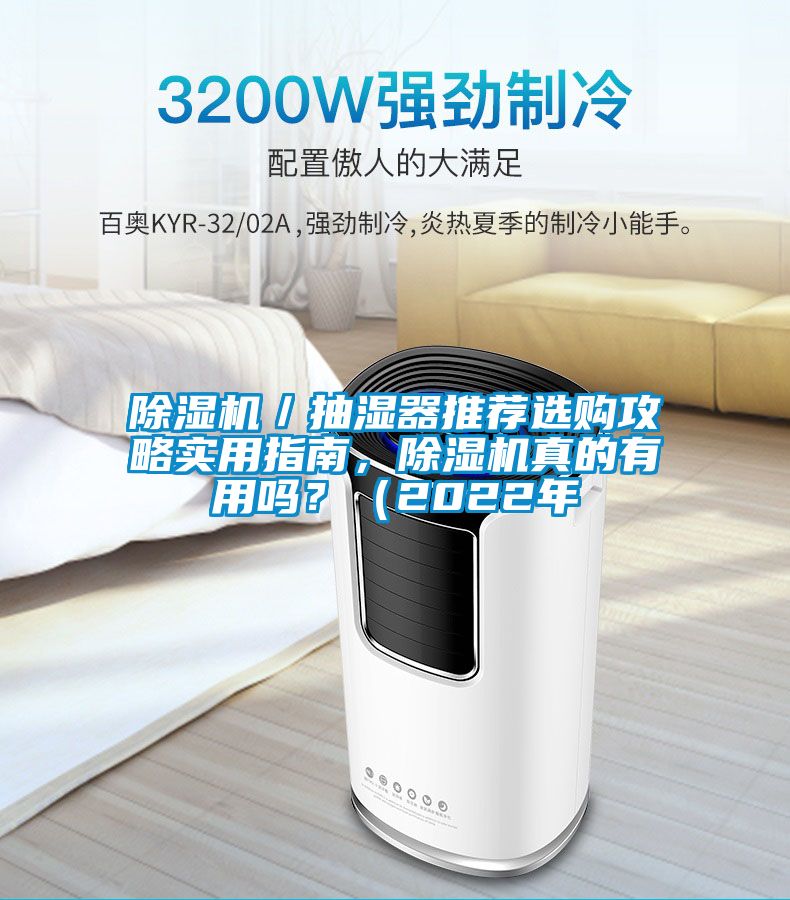 除濕機(jī)／抽濕器推薦選購攻略實(shí)用指南，除濕機(jī)真的有用嗎？（2022年
