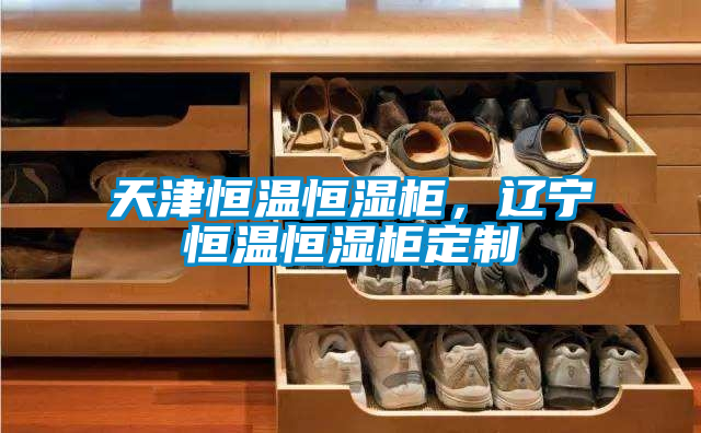 天津恒溫恒濕柜，遼寧恒溫恒濕柜定制