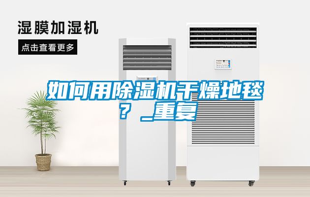 如何用除濕機(jī)干燥地毯？_重復(fù)