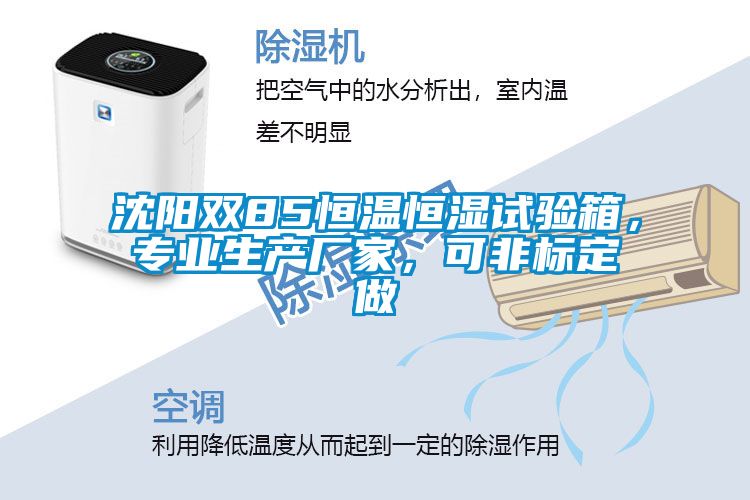 沈陽雙85恒溫恒濕試驗箱，專業(yè)生產(chǎn)廠家，可非標(biāo)定做