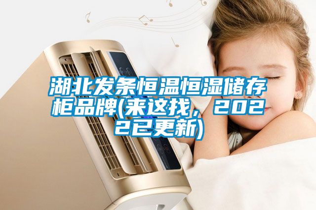 湖北發(fā)條恒溫恒濕儲存柜品牌(來這找，2022已更新)