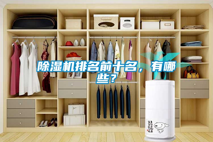除濕機(jī)排名前十名，有哪些？