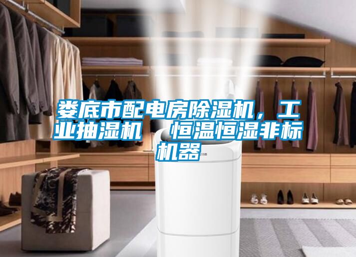 婁底市配電房除濕機(jī)，工業(yè)抽濕機(jī)  恒溫恒濕非標(biāo)機(jī)器