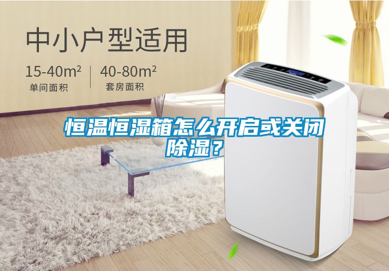 恒溫恒濕箱怎么開(kāi)啟或關(guān)閉除濕？