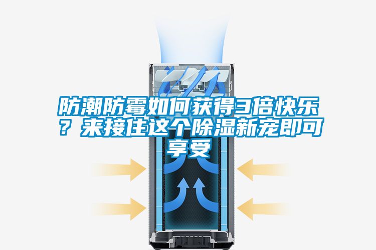 防潮防霉如何獲得3倍快樂？來接住這個(gè)除濕新寵即可享受