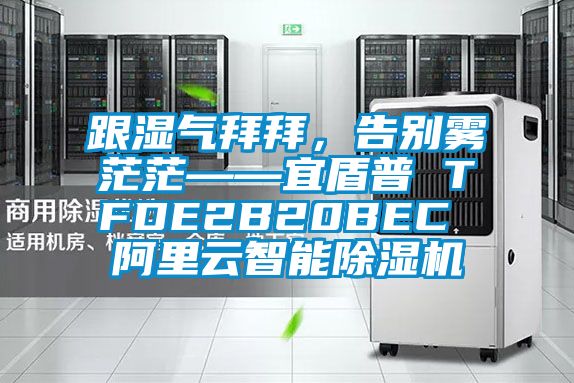 跟濕氣拜拜，告別霧茫茫——宜盾普 TFDE2B20BEC 阿里云智能除濕機(jī)