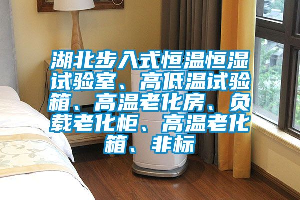 湖北步入式恒溫恒濕試驗(yàn)室、高低溫試驗(yàn)箱、高溫老化房、負(fù)載老化柜、高溫老化箱、非標(biāo)