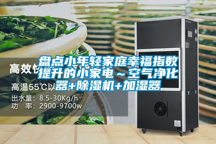 盤點小年輕家庭幸福指數(shù)提升的小家電～空氣凈化器+除濕機(jī)+加濕器