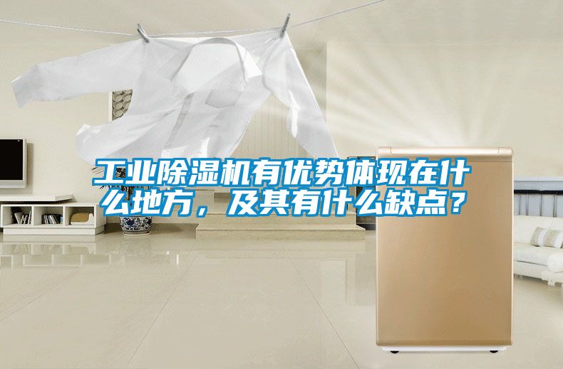 工業(yè)除濕機有優(yōu)勢體現(xiàn)在什么地方，及其有什么缺點？