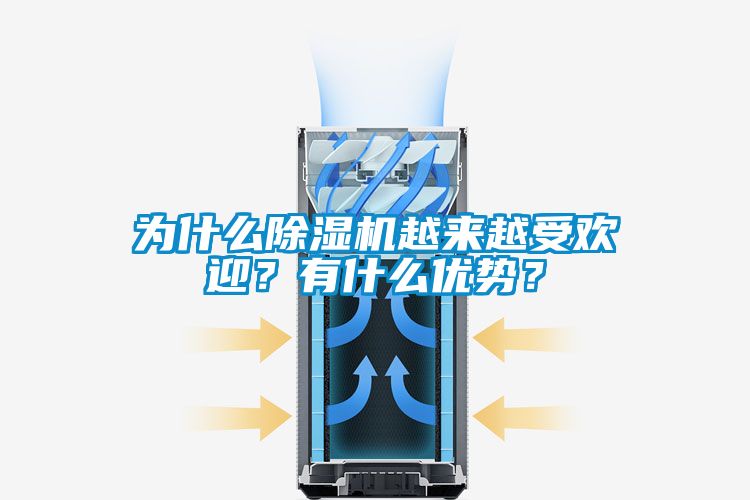 為什么除濕機(jī)越來越受歡迎？有什么優(yōu)勢(shì)？