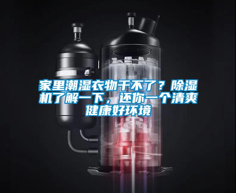 家里潮濕衣物干不了？除濕機了解一下，還你一個清爽健康好環(huán)境