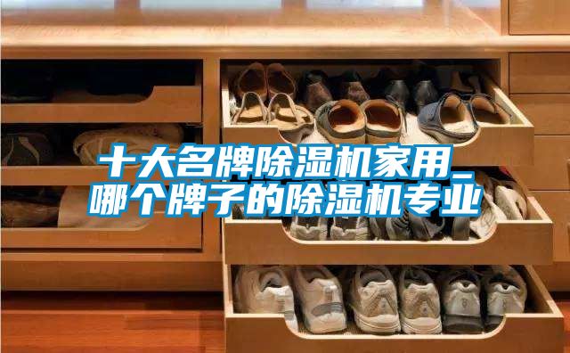 十大名牌除濕機(jī)家用_哪個(gè)牌子的除濕機(jī)專(zhuān)業(yè)