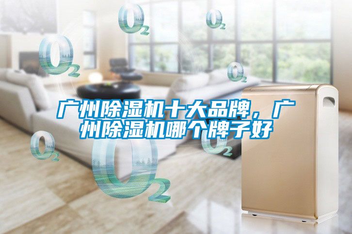 廣州除濕機(jī)十大品牌，廣州除濕機(jī)哪個(gè)牌子好