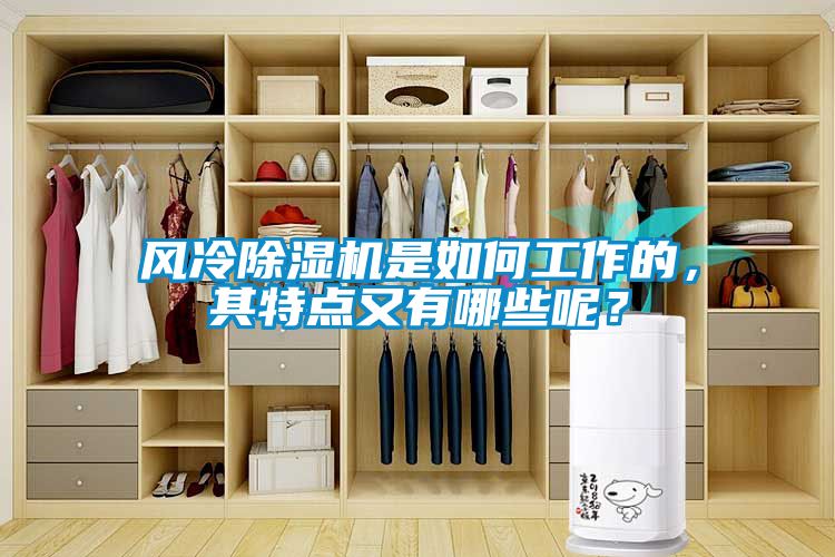風(fēng)冷除濕機(jī)是如何工作的，其特點(diǎn)又有哪些呢？
