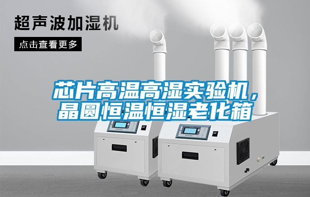 芯片高溫高濕實(shí)驗機(jī)，晶圓恒溫恒濕老化箱